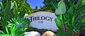 Trilogy Homes for Sale in Carmel Valley