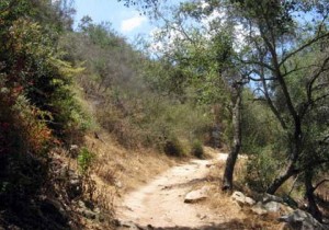 local hiking trails